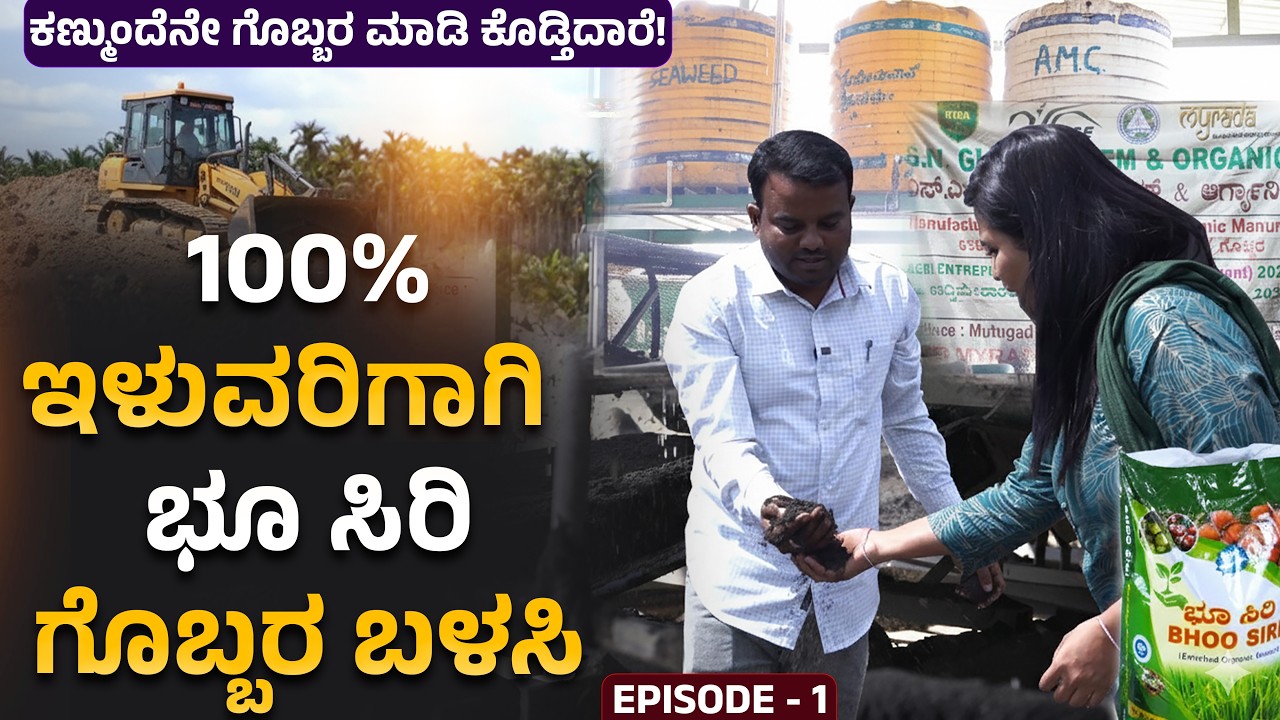 100%ಇಳುವರಿಗಾಗಿ ಭೂ ಸಿರಿ ಗೊಬ್ಬರ ಬಳಸಿ|ಕಣ್ಮುಂದೆನೇ ಗೊಬ್ಬರ ಮಾಡಿ ಕೊಡ್ತಿದಾರೆ!#bhoosiri #organicfertilizer