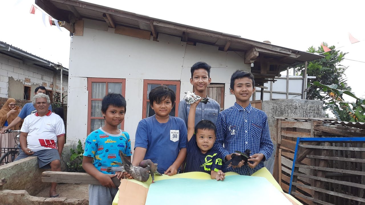 Latihan Balap Merpati Kolong Pagi Sebelum Ikut Lomba Merpati Boy MiniCup | Latih bareng Subscriber