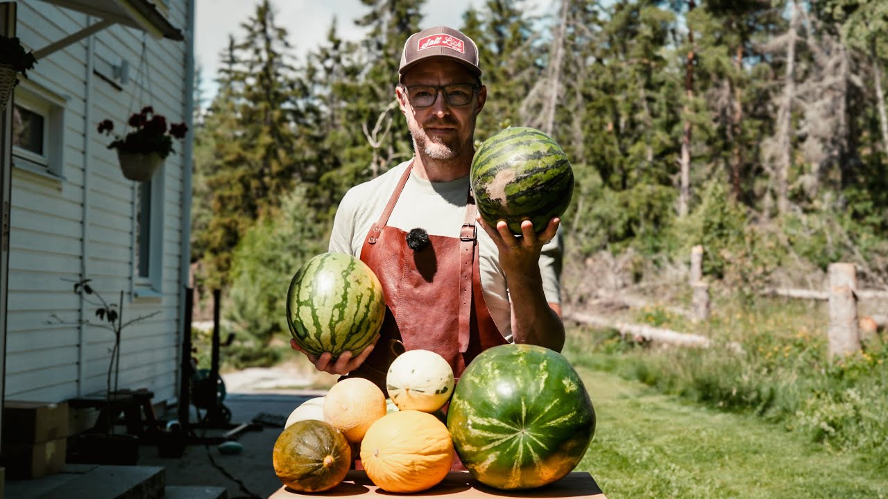 Världens sämsta test av meloner