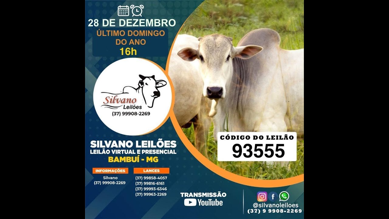LEILÃO  SILVANO LEILOES - BAMBUI - 28/12/2025
