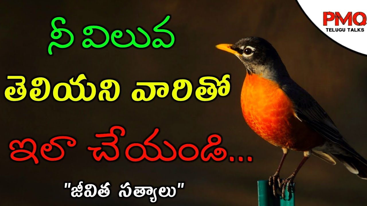 Jeevitha Satyalu#94|Manchi Matalu|Motivation Quotes|Inspiration Quote|Success Quote|PMQ Telugu Talks