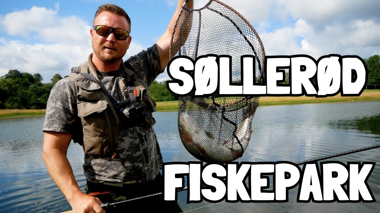 UD I SOMMERLANDET: Søllerød Fiskepark