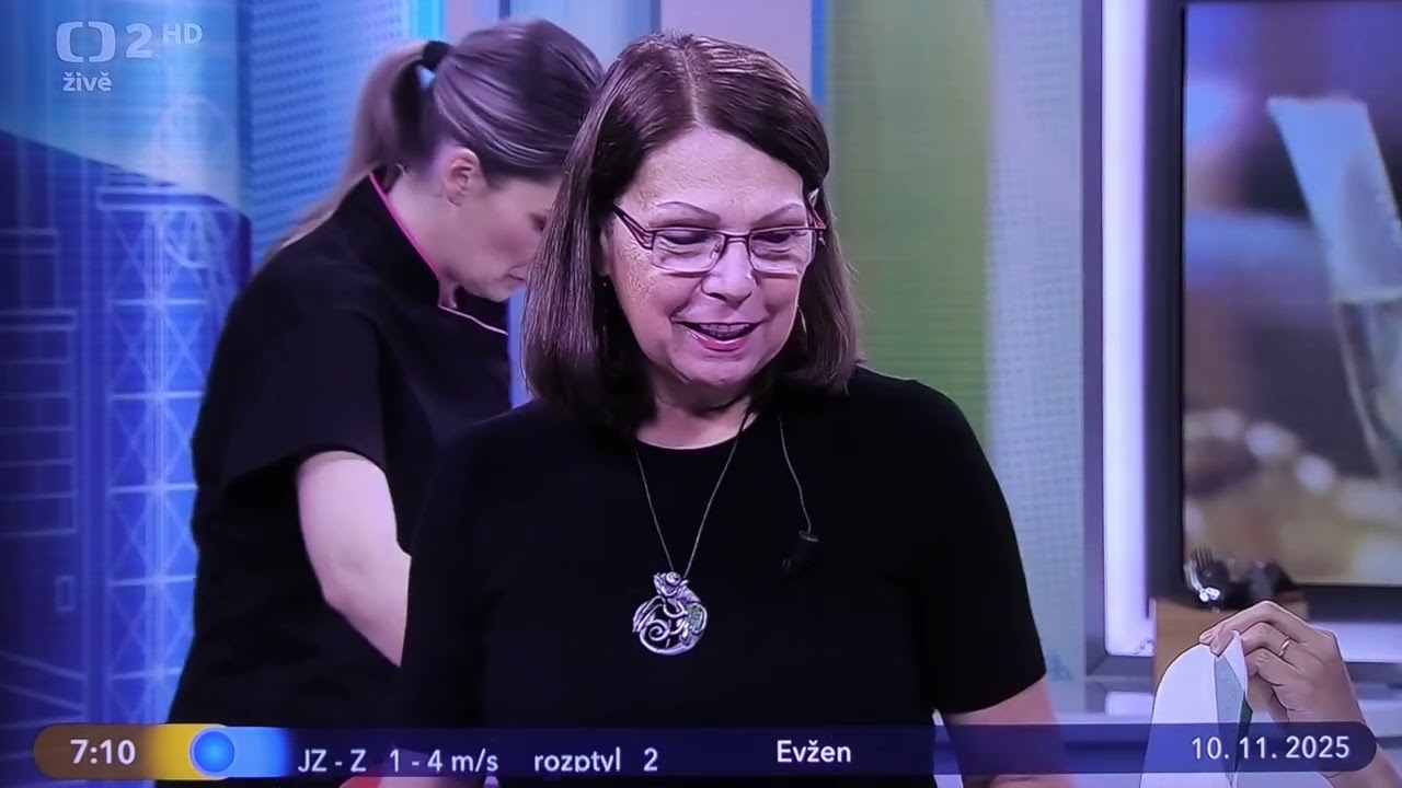 TV20251110_Patchworkové aplikace Danuše Březinová