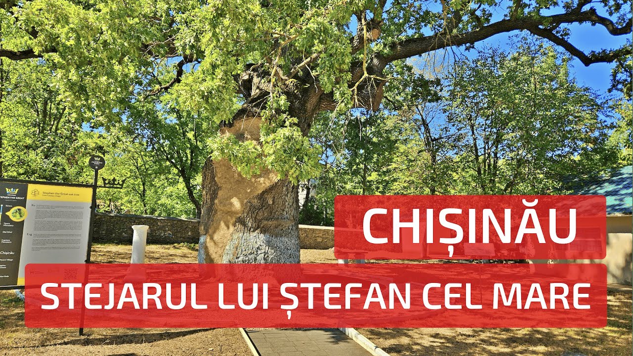 Chișinău - Stejarul lui Ștefan cel Mare. Moldova | Кишинёв - Дуб Штефана чел Маре. Молдова