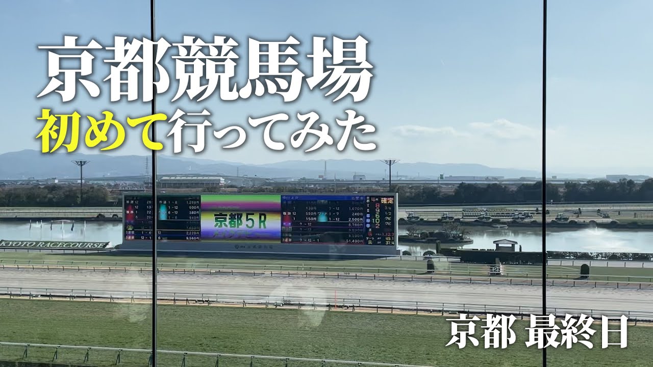 【京都旅】初めての京都競馬場｜雰囲気とグルメを楽しむ1日