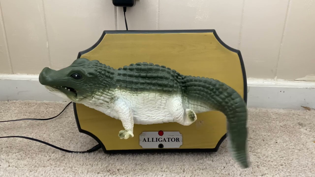 Bubba Alligator the singing sensation
