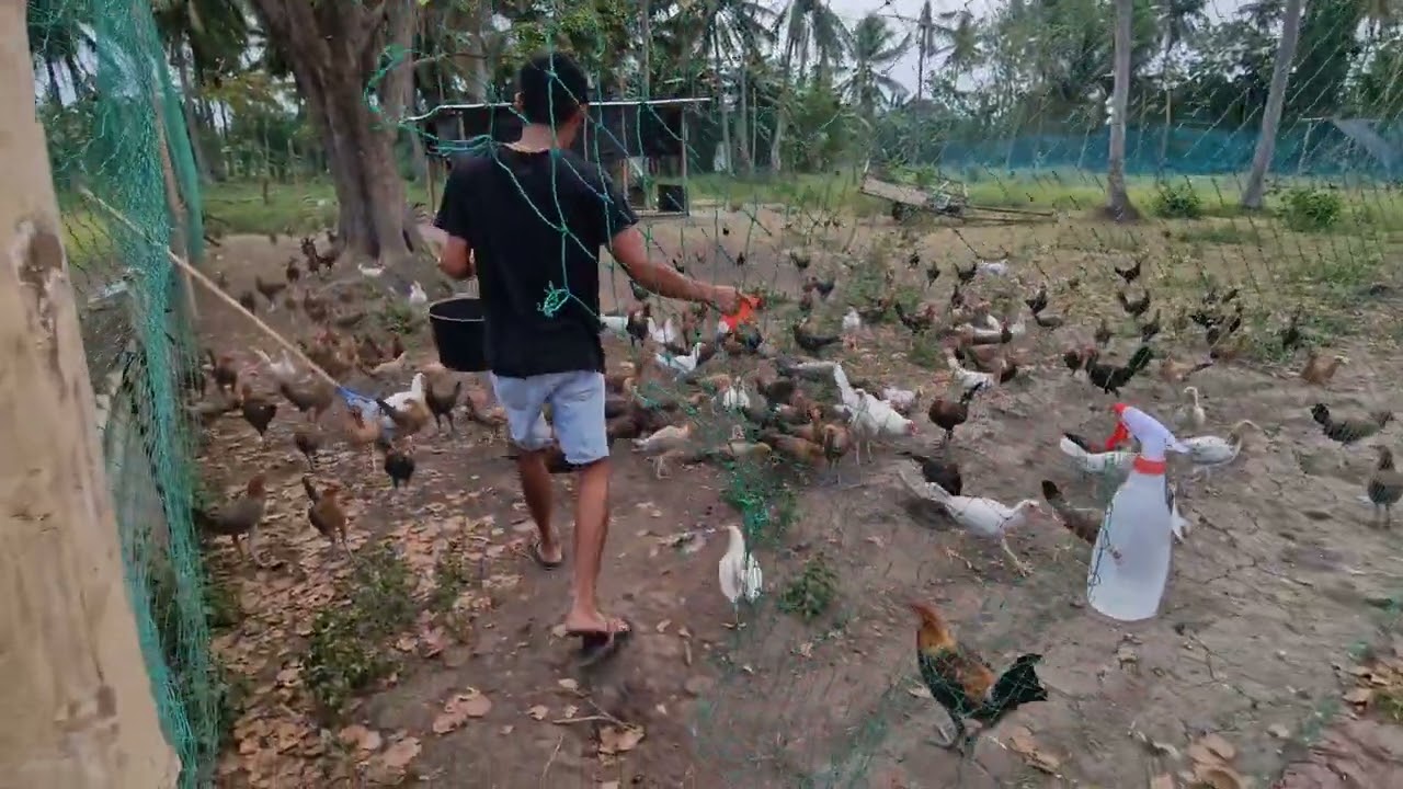 PASENSYA NA PO!