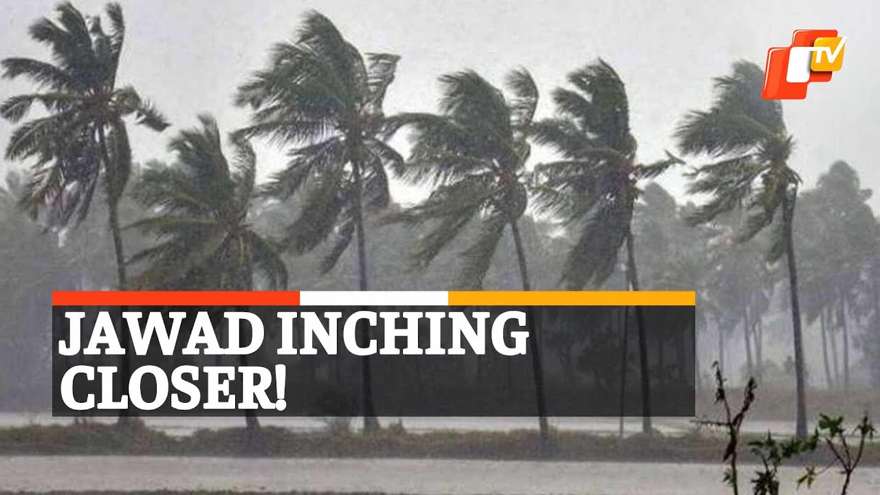 Cyclone Jawad: IMD Bhubaneswar Official Shares Latest Updates | OTV News