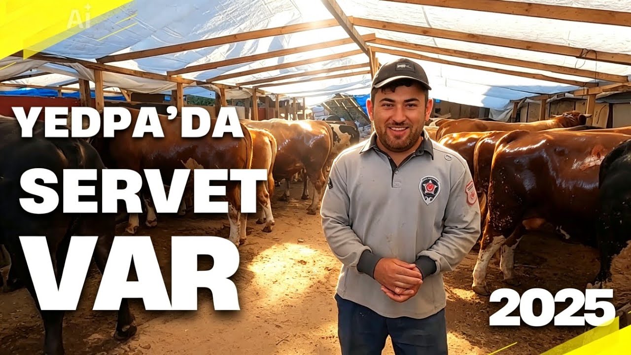 Acemi Satıcı Servet Sizleri Bekliyor | 2025 kurbanlık fiyatları