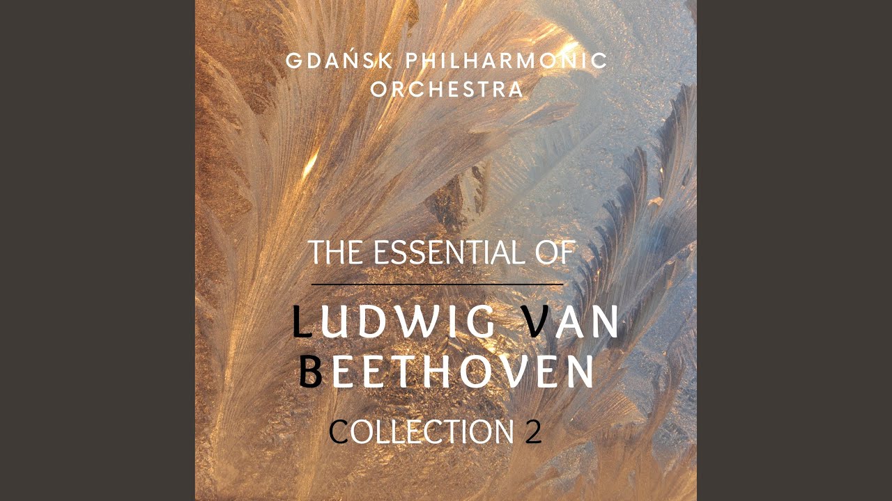 Beethoven Symphony N. 1 In C Major, Op 21 - 4° Adagio - Allegro Molto E Vivace