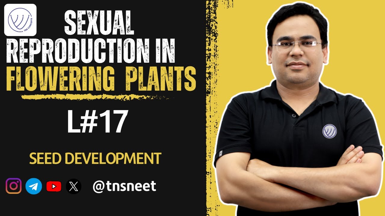 DEVELOPMENT OF SEED FROM OVULE | SEXUAL REPRODUCTION IN FLOWERING PLANTS CLASS 12 | BIOLOGY FOR NEET