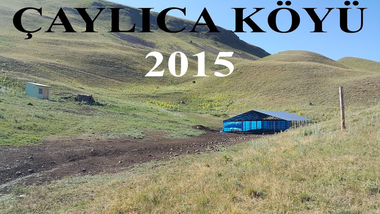 ÇAYLICA KÖYÜ (2015)