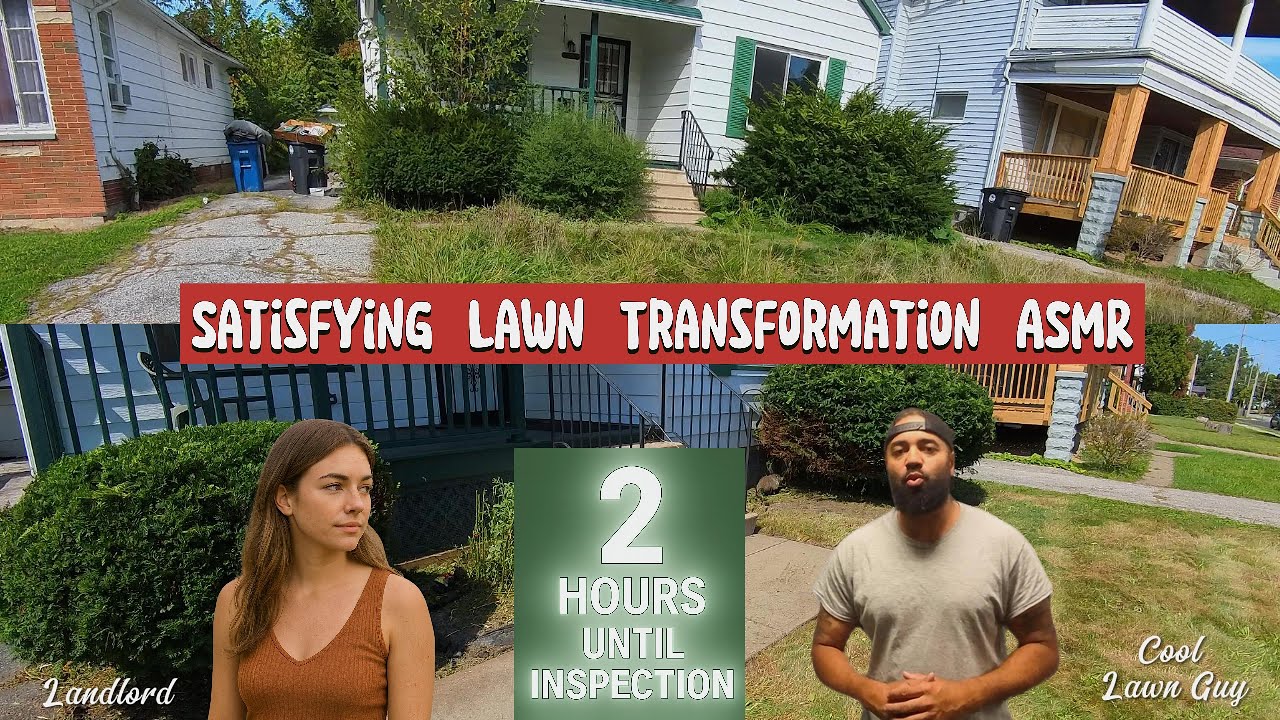 Can This Jungle Pass Inspection in Two Hours