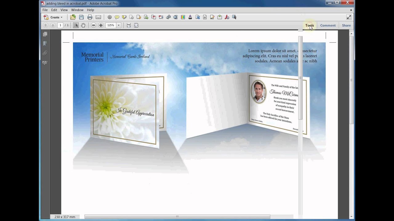 Adding Bleed and Cutmarks to pdf in Acrobat X Pro