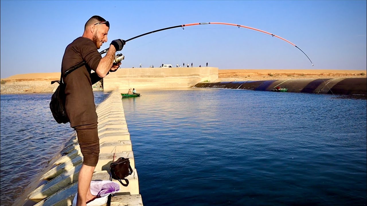 اطنان من اسماك الراي في مفيض توشكي وكله في المباشر احنا اللي ولعناها 🔥