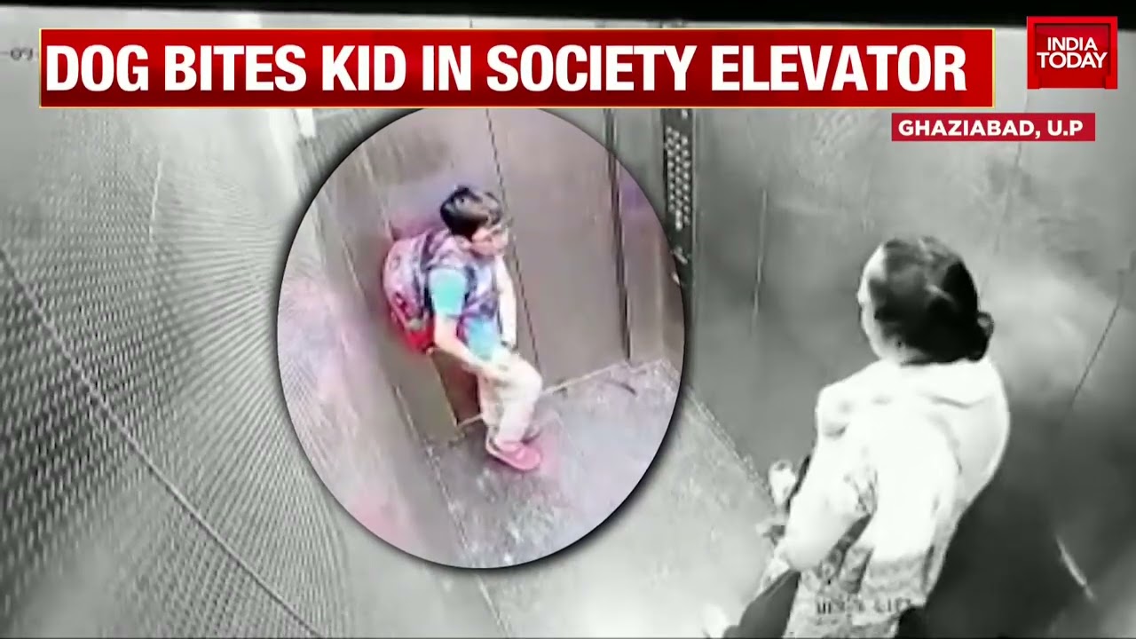Pet Dog Bites Kid In Ghaziabad's Residential Society Elevator, Owner Remains Unfazed | WATCH