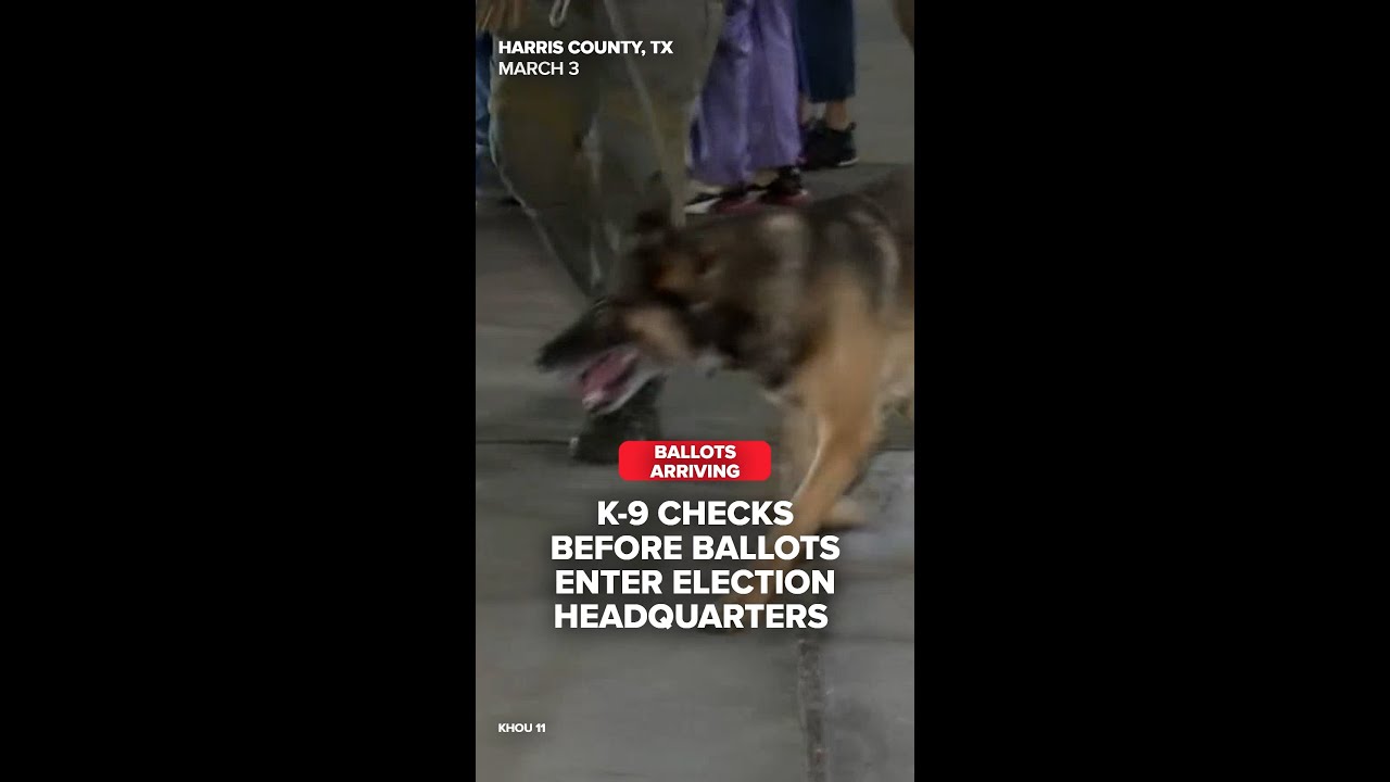 How ballots get to election headquarters (with K-9 checks) | KHOU 11