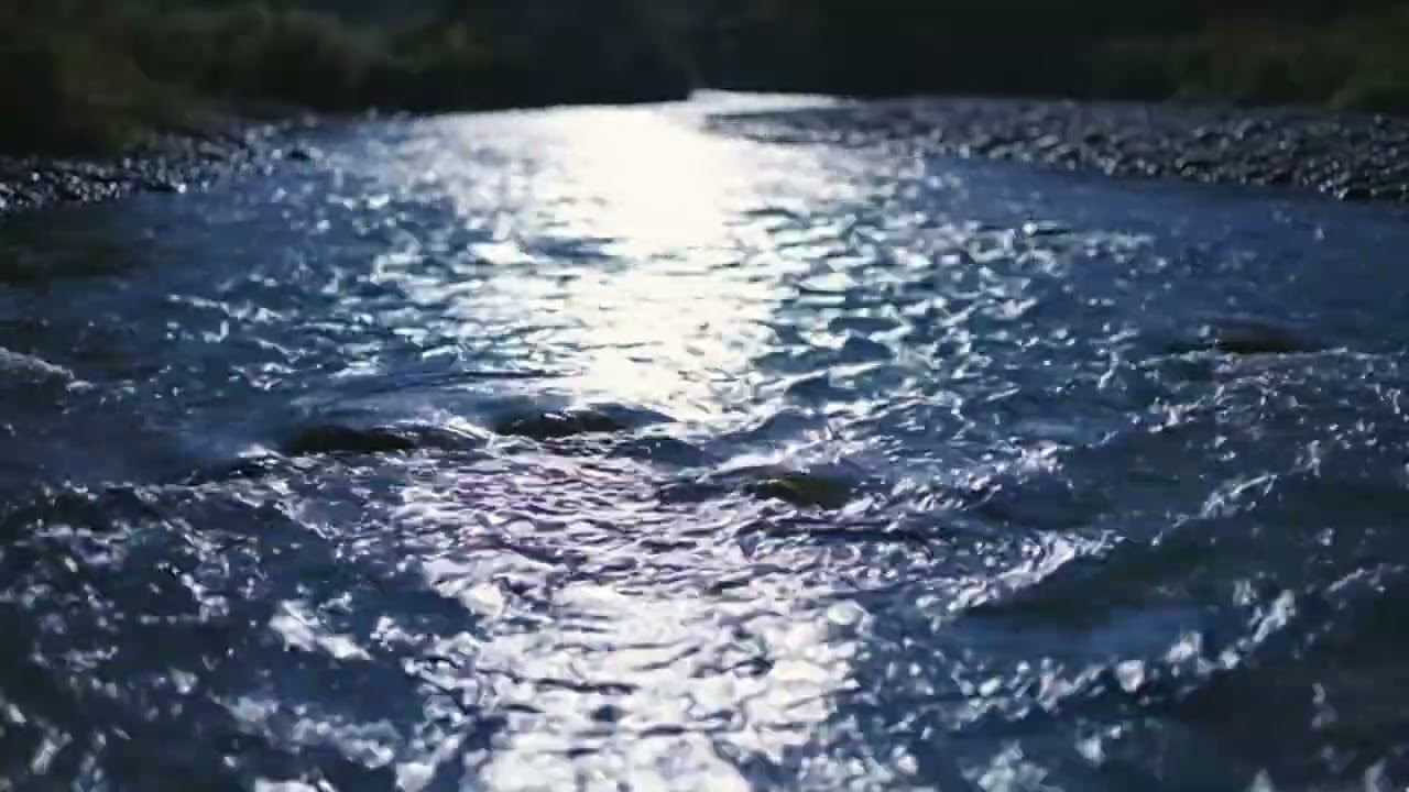 Peaceful Night River Sounds for Deep Sleep & Relaxation | Nature ASMR No Music