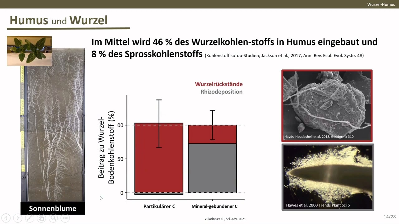 Humusaufbau Chancen und Grenzen - Dr. Gernot BODNER