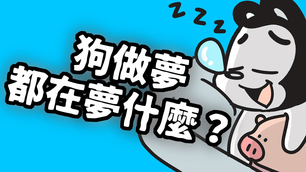 狗與鹿｜狗狗做夢，都在夢什麼？｜狗狗夢境大解密，夢裡面到底有沒有主人？