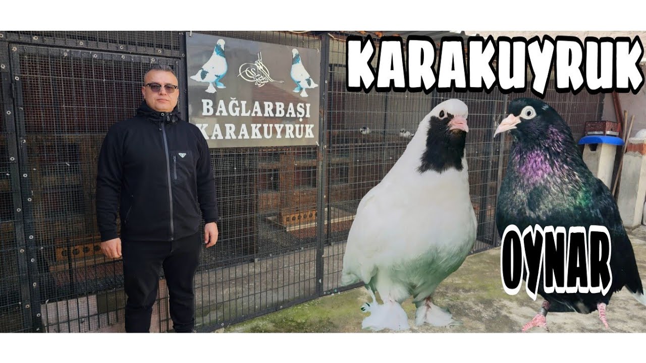 BURSA OYNARI & KARAKUYRUK SOHBETİ CÜNEYT DİKBAŞ KÜMESLERİ