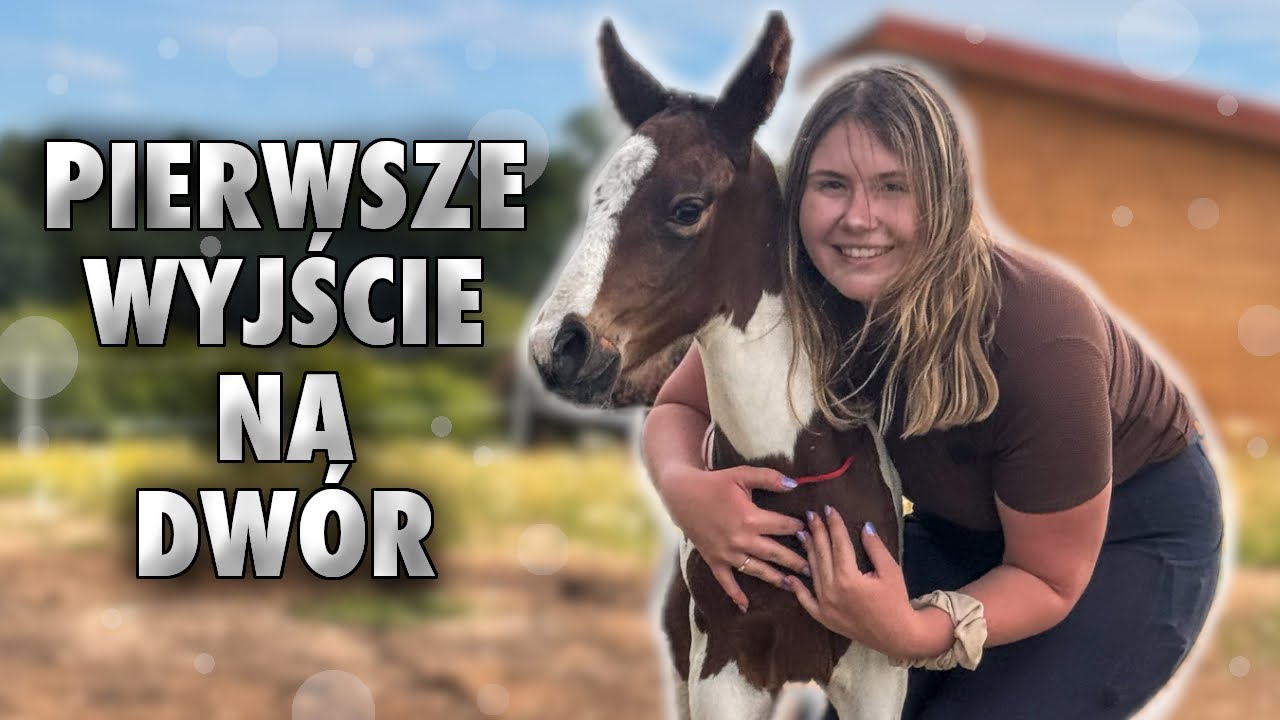 PIERWSZE DNI NA DWORZE SURPRISE | VLOG #407