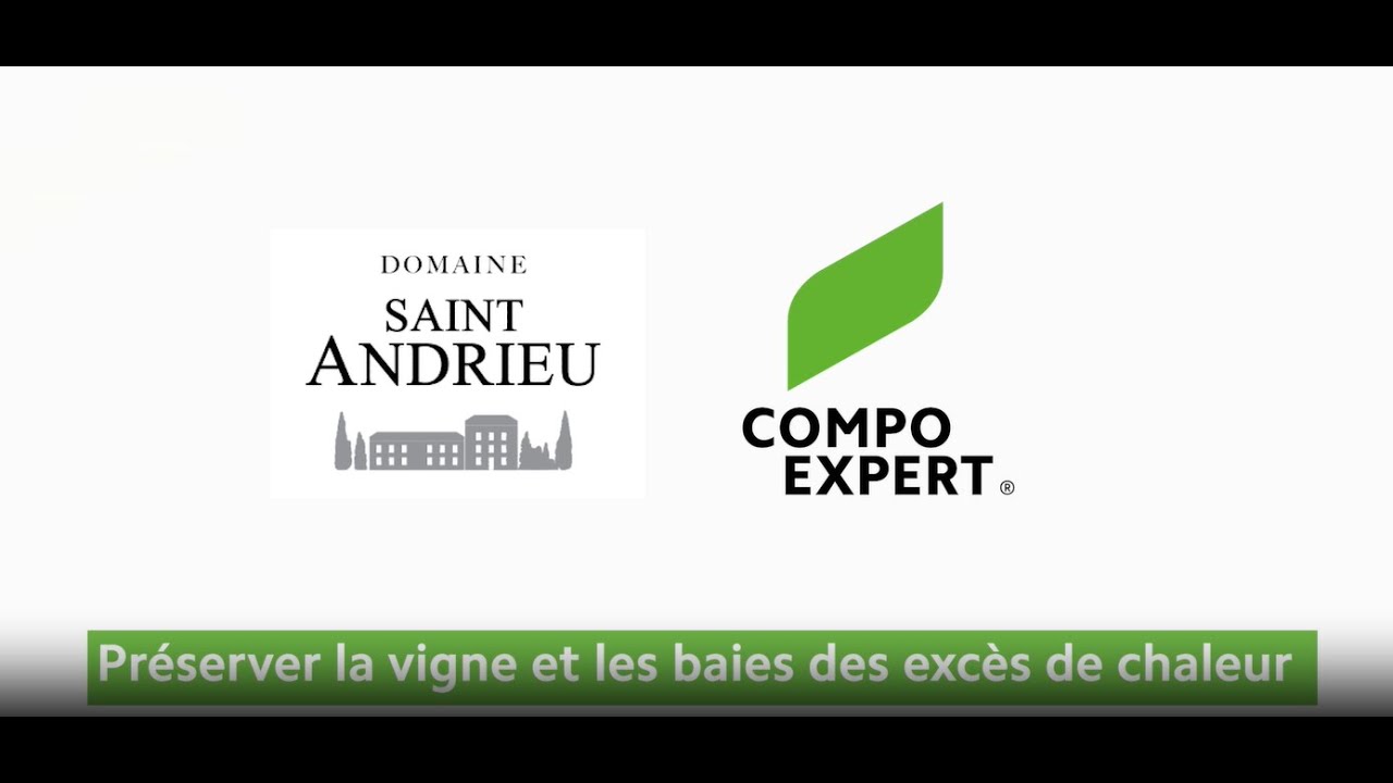 Application d'Invelop White Protect au Domaine Saint Andrieu