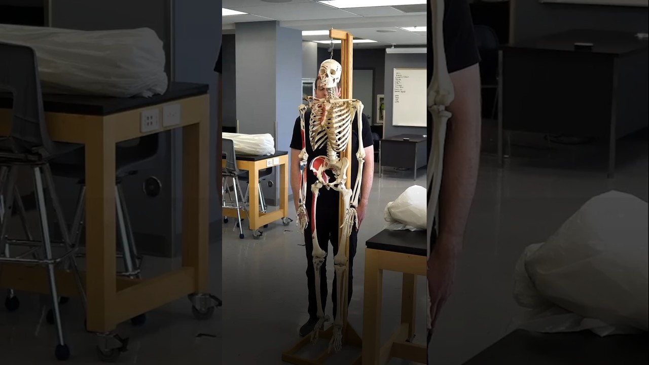 What REALLY Happens When You Donate Your Body to Science