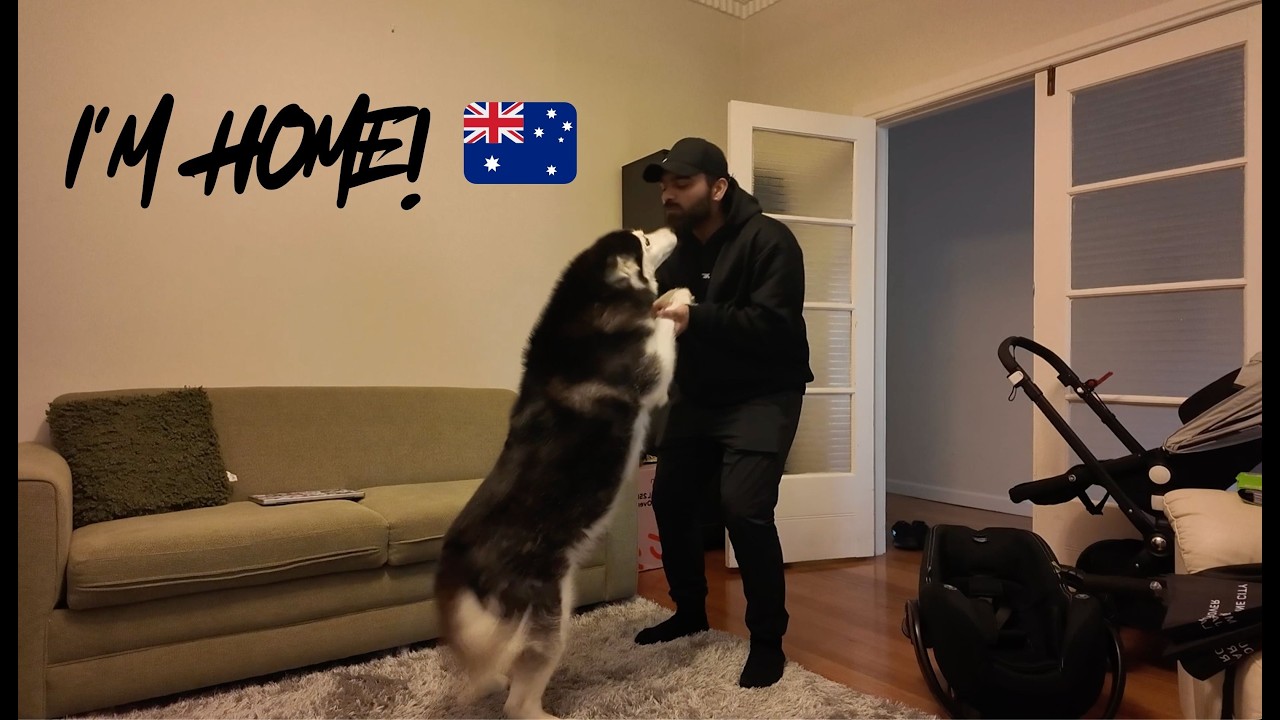 The Best Welcome Home EVER! (My Dog Went Crazy) 🐶❤️