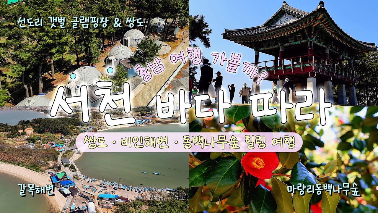 🌊서천 바다 따라｜쌍도·비인해변·동백나무숲 힐링 여행🌺
