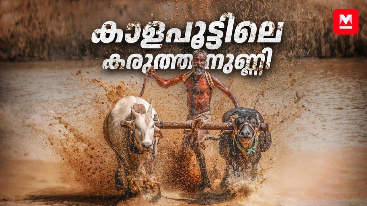 കാളപൂട്ടിലെ കരുത്തനുണ്ണി | Story of a Bull Racer | Kaalapoottu | Palakkad Cattle Race