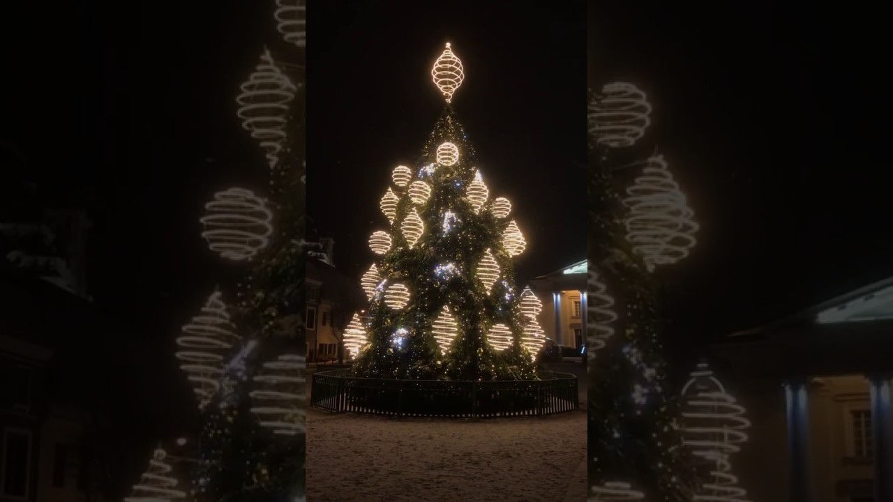 Rotu&scaron;ės aik&scaron;tės eglė/ Christmas tree of Rotuse square. Vilnius. 2018