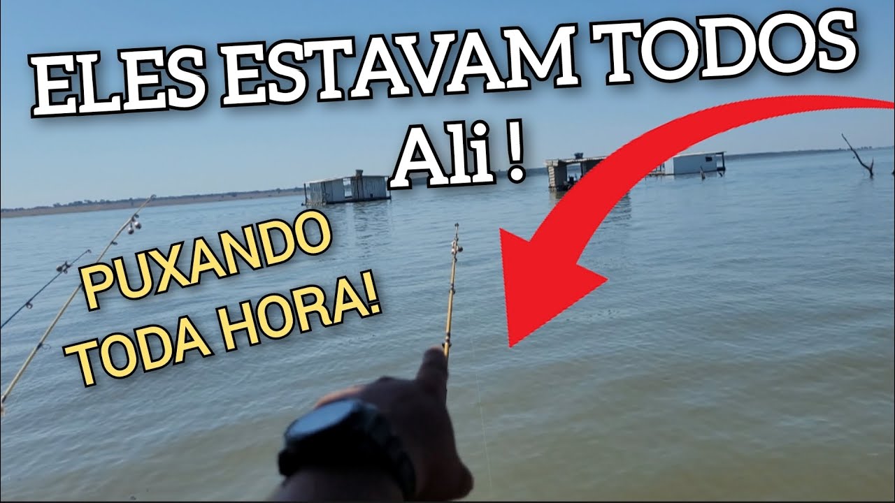 Parte 1 || Nossa 1° Pescaria na Mata dos Macacos 2023 Piau e CD na Tripa e no Milho