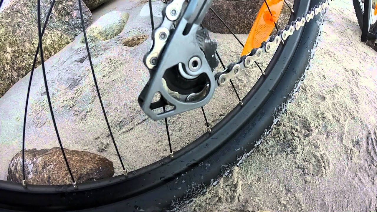 Scott scale 770 2016