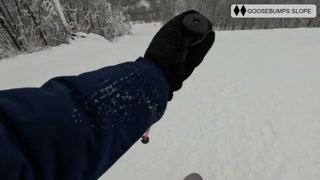 Seven Springs - Front Face January 12, 2025