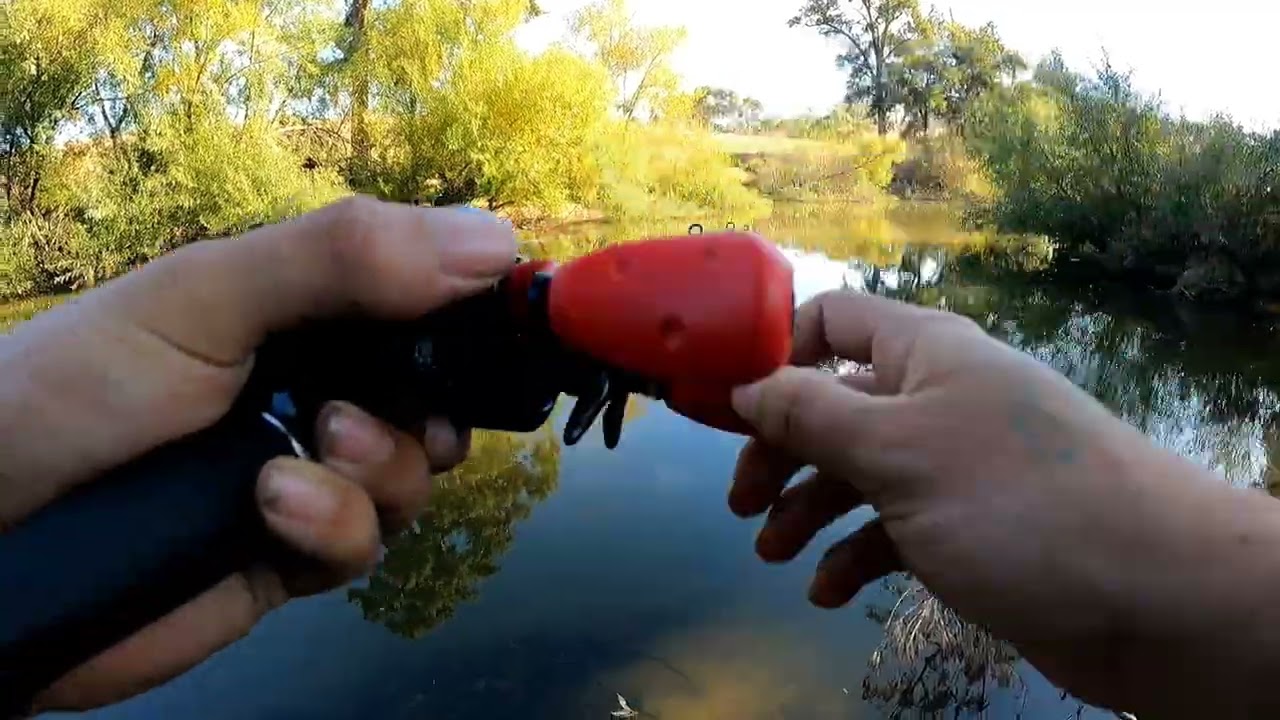 Fishing along the Macquarie River four cod slow day but finally paid off at the end