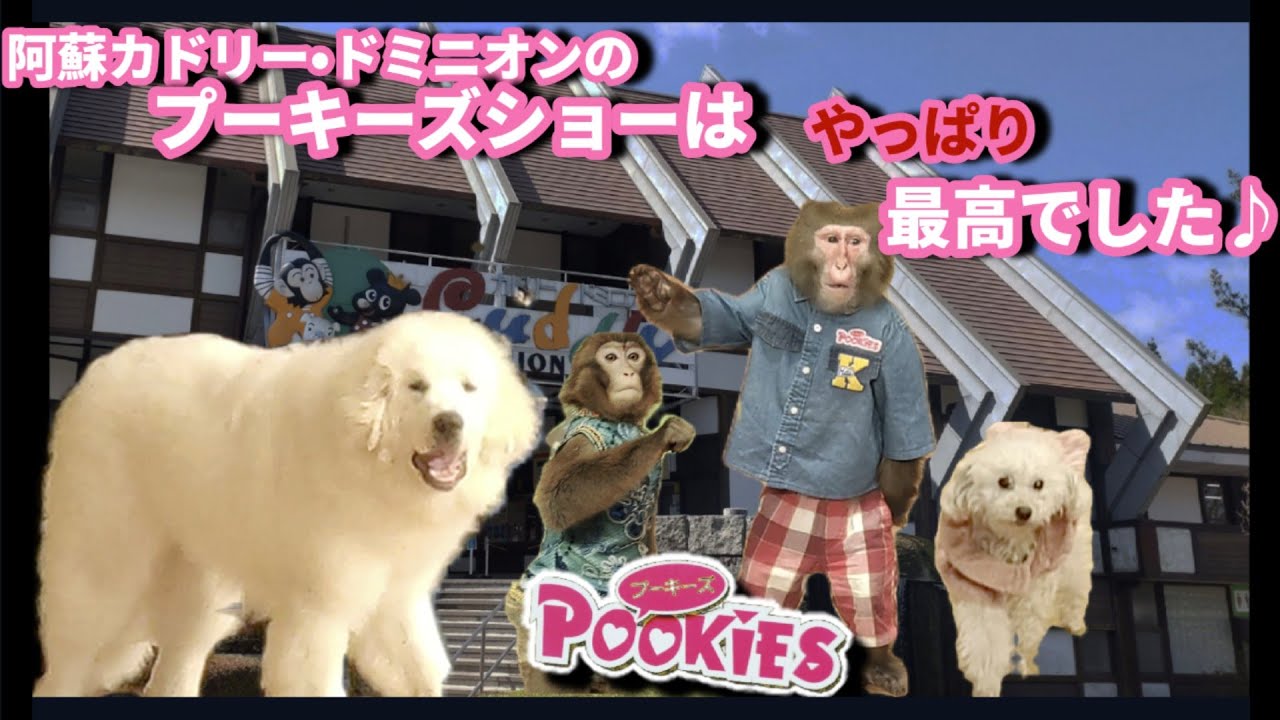 阿蘇カドリー・ドミニオンのプーキーズショーはやっぱり最高でした♪ ＃プーキーズ ＃Pookies