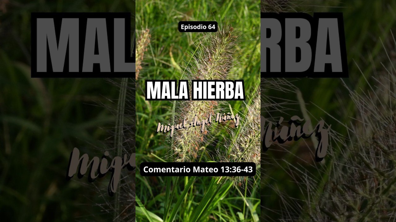 64 La mala hierba #drmiguelangelnunez #miguelanp #miguelanp30