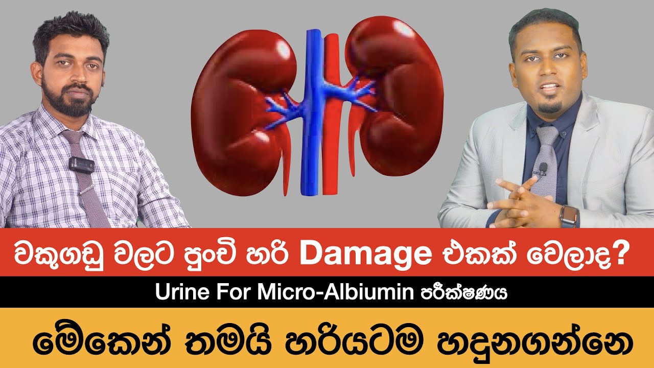 වකුගඩු හරියට වැඩ කරනවද? | Urine For Micro Albumin  Test | Nutri Info Medical podcst