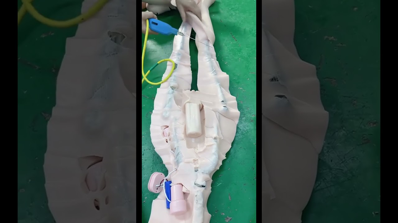 Crafting a Realistic Silicone Companion | Mesmerizing Step-by-Step Process #beauty#cute#silicone