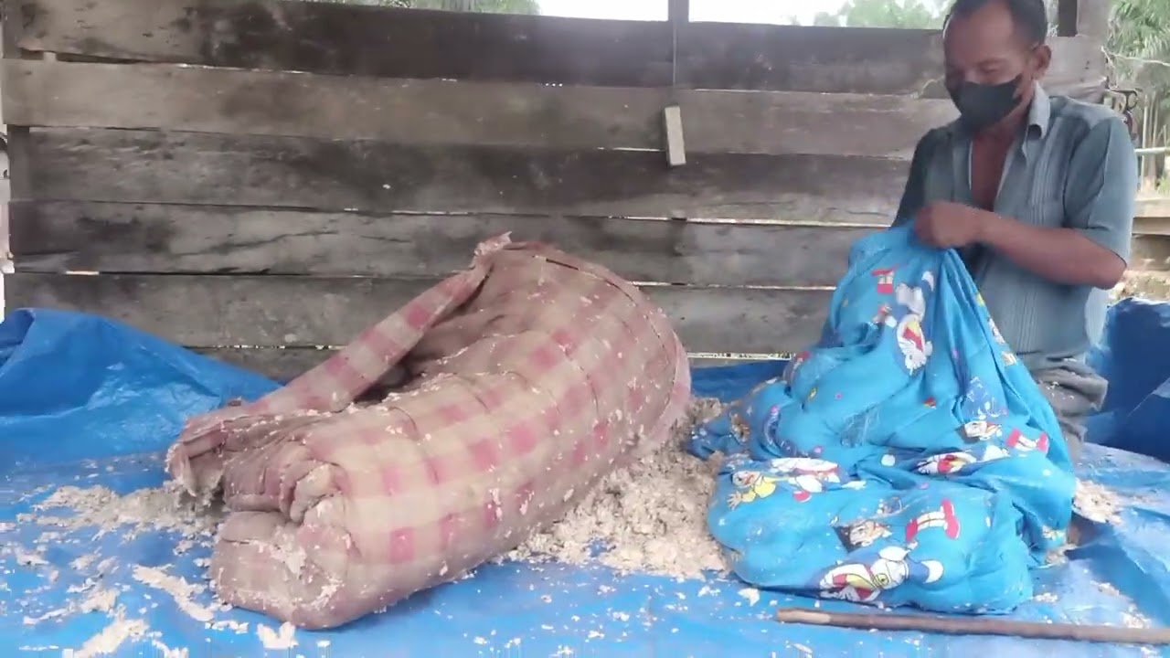 Pak Hasibuan ganti kain kasur 