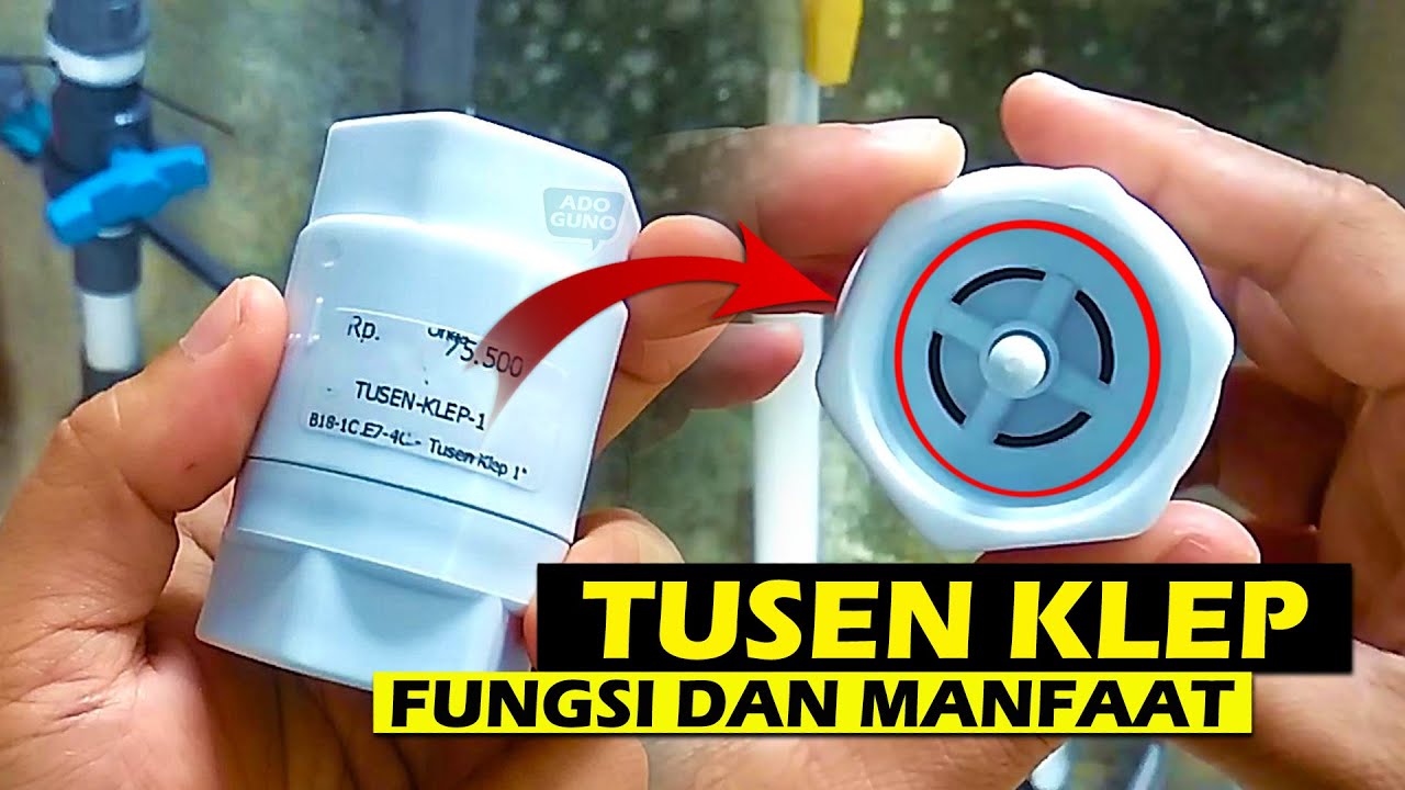 Manfaat dan Fungsi Tusen Klep yang Jarang Diketahui