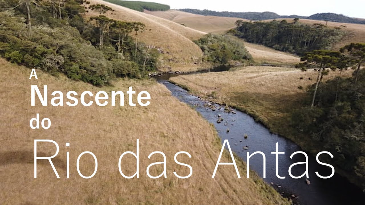 A nascente do Rio das Antas