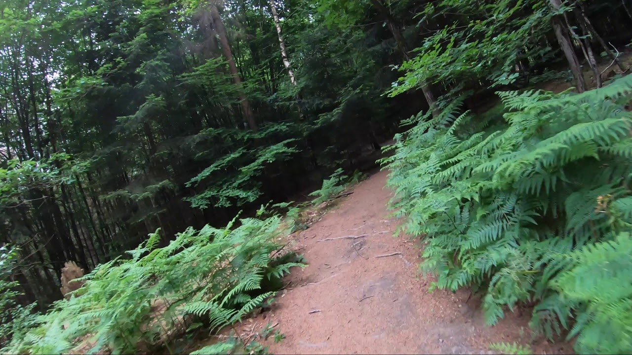 Siegtal-Trails