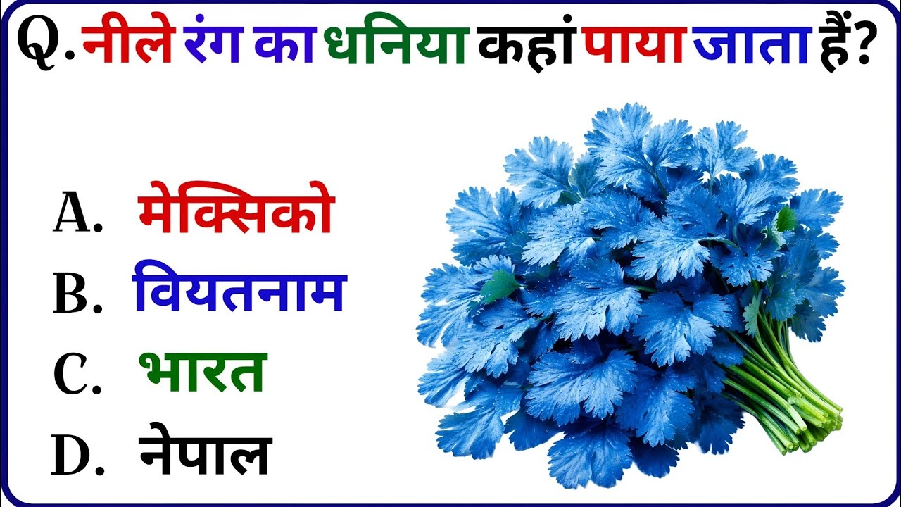 Gk Question || Gk in Hindi || GK challenge || Question and Answers # Swabhagi Aanchal GK STUDY 