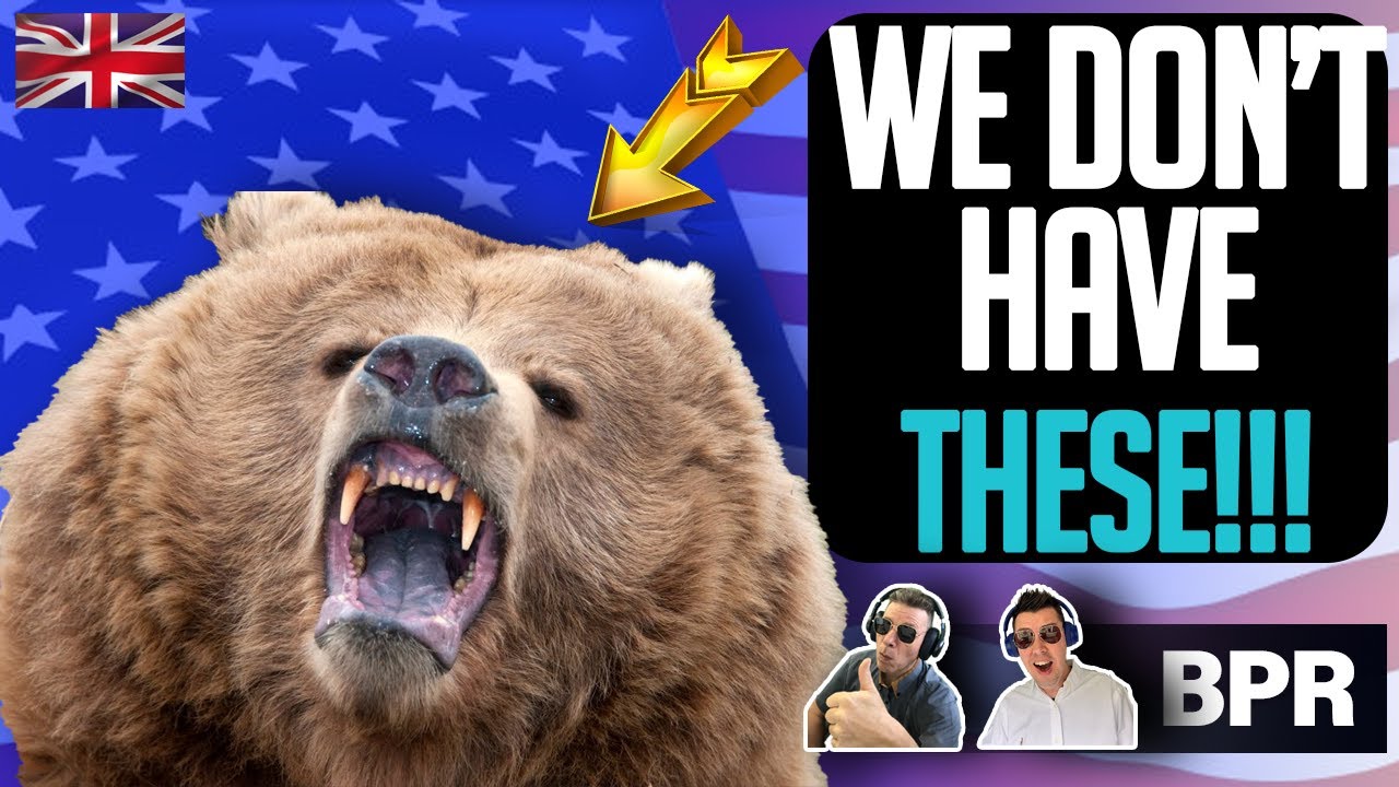Top 10 Dangerous Animals in America (BRITS REACTION!)