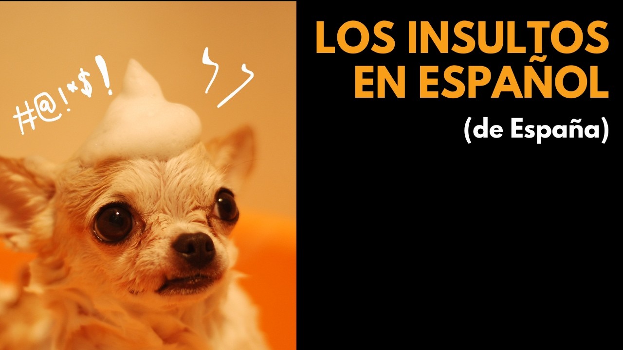 Spanish Insults You Need to Know 🇪🇸 (Advanced Learners)