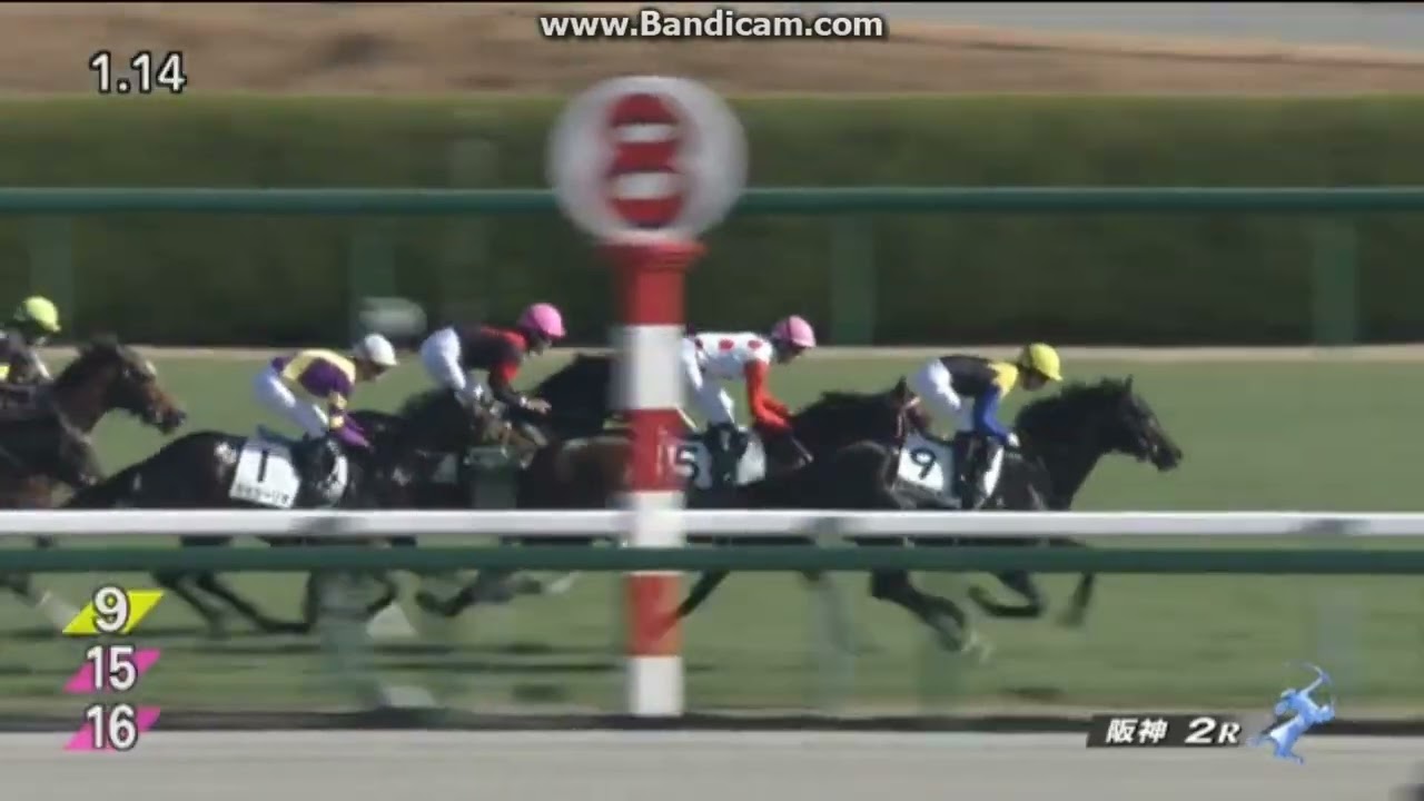 バステール　2歳未勝利