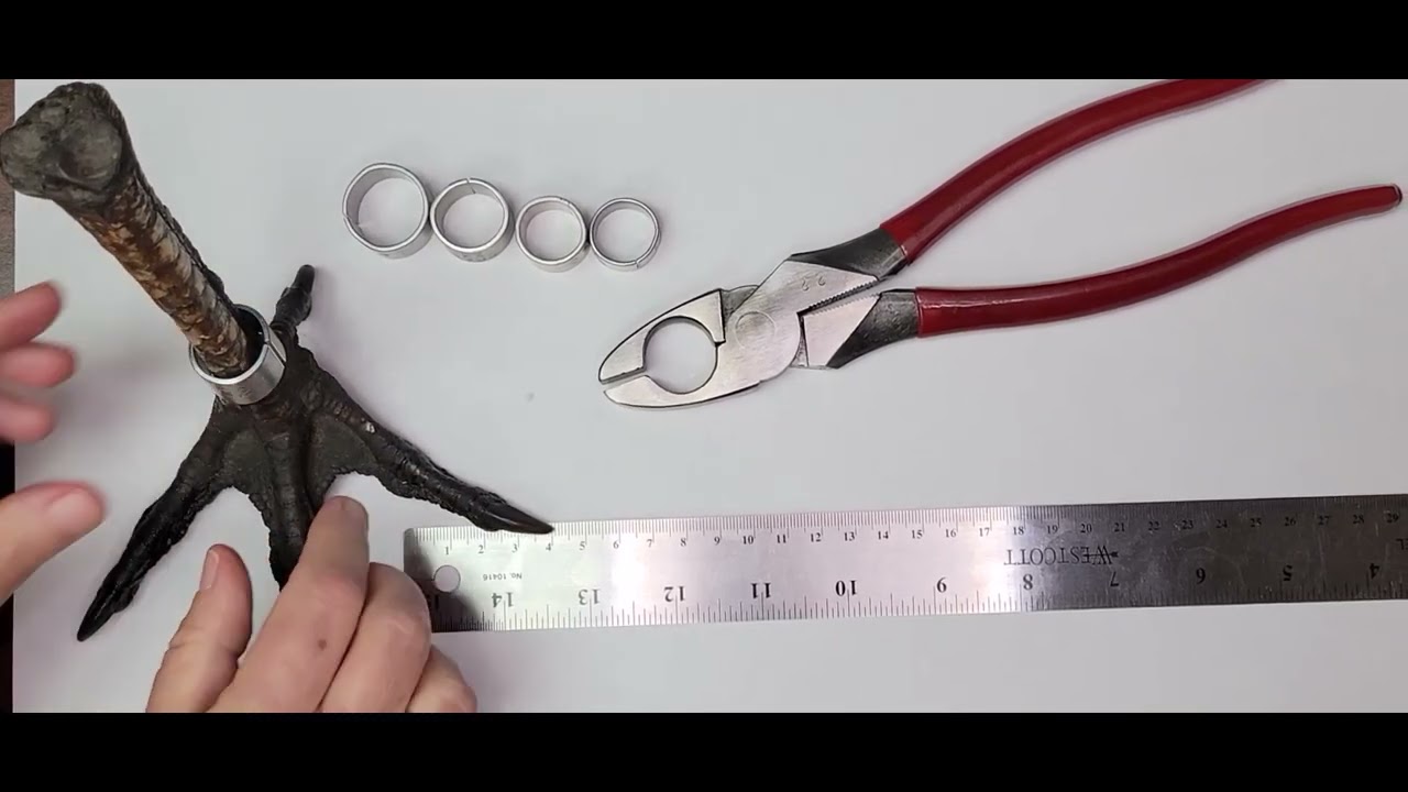 Anillos de Aluminio Butt-End Bands
