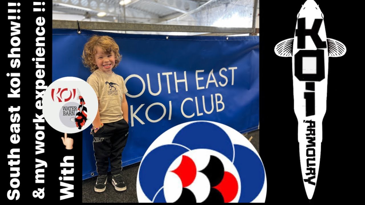 South east koi show! And my work experience with koi water barn!!!!!!